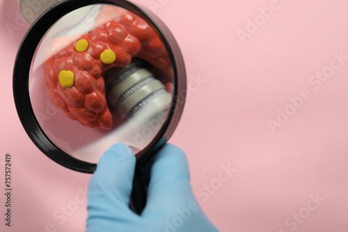 Endocrinologist looking at model of thyroid gland through magnifying glass on pink background, closeup. Space for text © New Africa