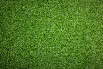 Fresh green grass as background outdoors, top view