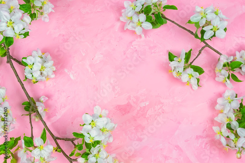 a branch of spring blossoming apple tree on a pink background.