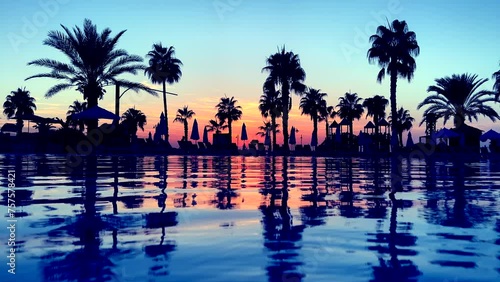 water sunset reflection palm tree