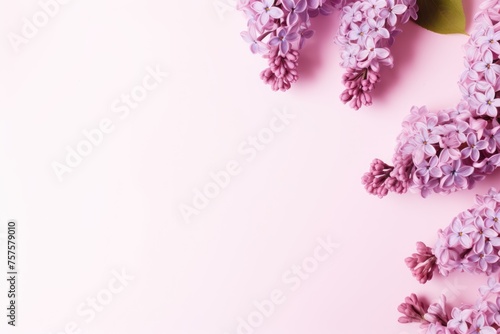 Aromatic lilac flowers forming an inviting frame on a pastel pink background, perfect for spring themes. Spring Aroma: Lilac Frame on Pastel Background