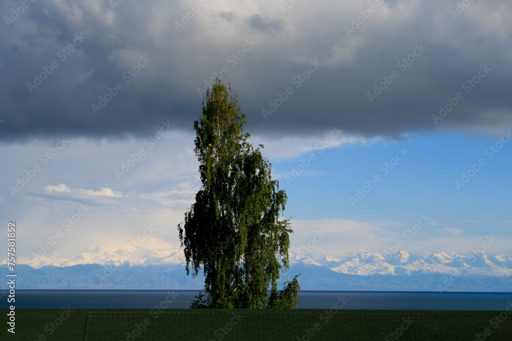 Fototapeta premium Tian Shan Mountains at Issyk-Kul, Cholpon Ata, Kyrgyzstan