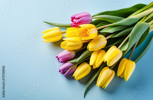 Bouquet of yellow and pink tulips on a blue background with space for inscriptions. Spring concept