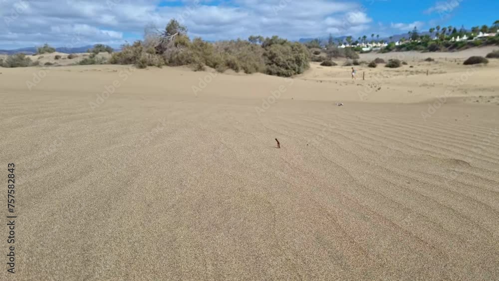 Hiking through the Dunes an the Beach of Maspalomas on Gran Canaria Island. Hiking through the Dunes an the Beach of Maspalomas on Gran Canaria Island.