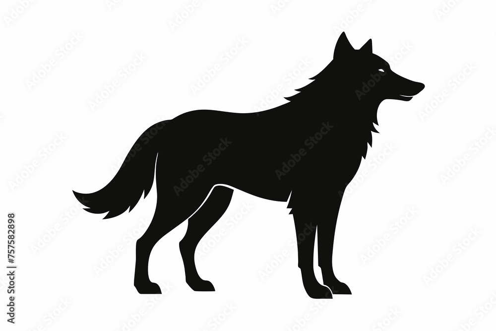 Wolf silhouette and on white background