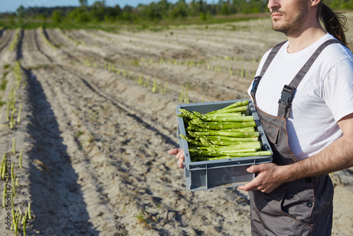 Farmer with box of asparagus in sunny day on field background