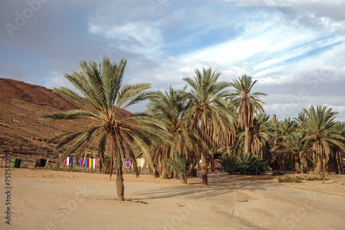 Palm trees in Mides Oasis, Tozeur Governorate in Tunisia near the border with Algeria © Fotokon