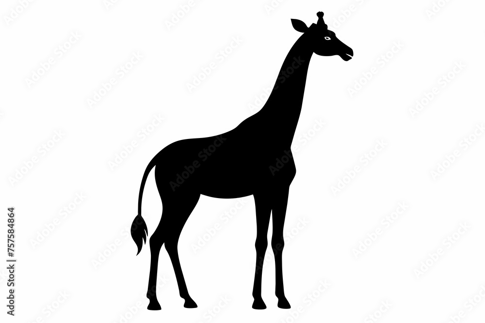 Giraffe silhouette and black on white background