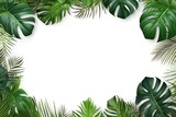 Tropical leaves frame on white background with space for text.