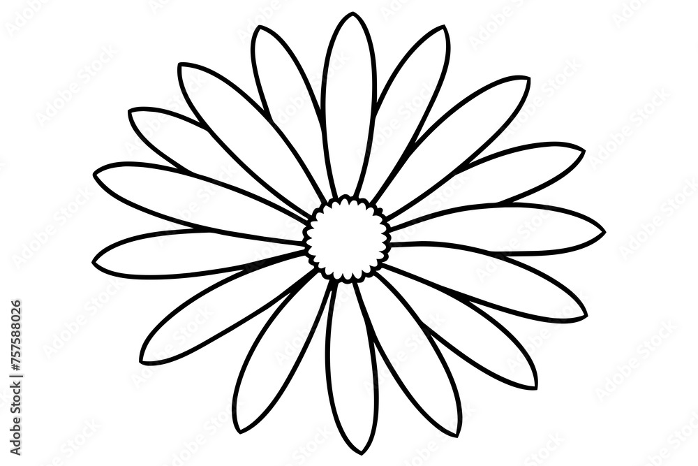 Illustration of a flower