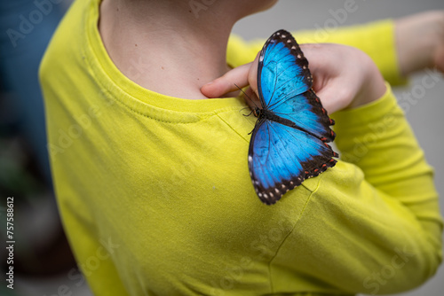 Sticker A child with a yellow jet and a blue butterfly sitting on it.