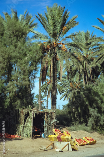 Roadside stall with pomegranate for sale in Gabes region, Tunisia photo