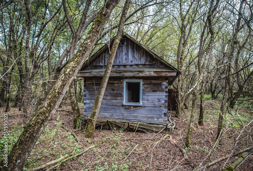 Old house in abandoned Stechanka village in Chernobyl Exclusion Zone, Ukraine