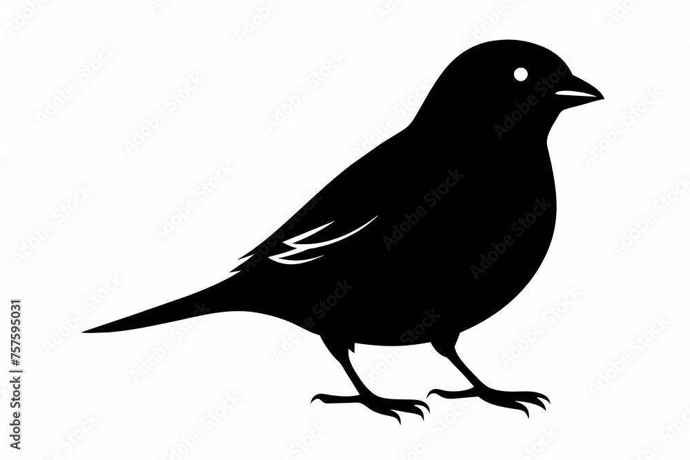 Sparrow silhouette on white background Sparrow silhouette on white background