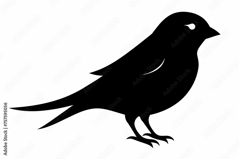 Fototapeta premium Sparrow silhouette on white background