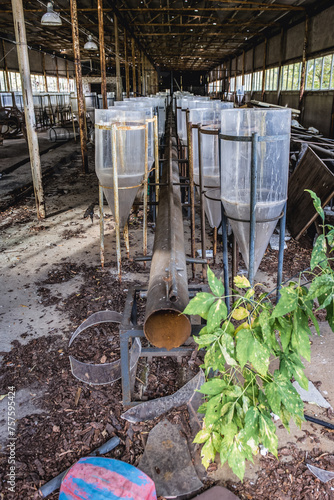 Interior of abandoned Radioecology Laboratory in former fish farm in Chernobyl Exclusion Zone, Ukraine photo