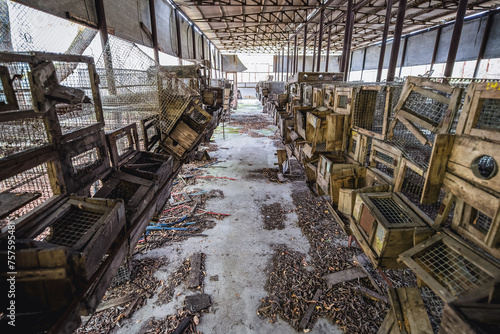 Hatching cages in abandoned Radioecology Laboratory in former fish farm in Chernobyl Exclusion Zone, Ukraine