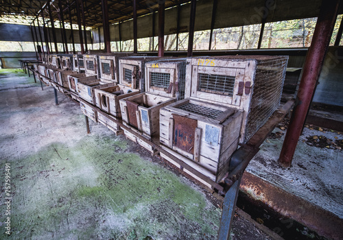 Hatching cages in abandoned Radioecology Laboratory in former fish farm in Chernobyl Exclusion Zone, Ukraine photo