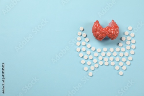 Endocrinology, Pills and model of thyroid gland on light blue background, flat lay. Space for text