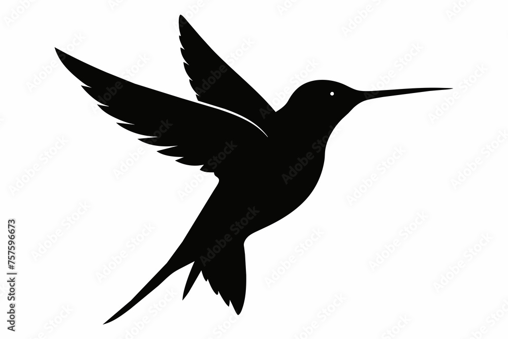 Hummingbird silhouette on white background Hummingbird silhouette on white background