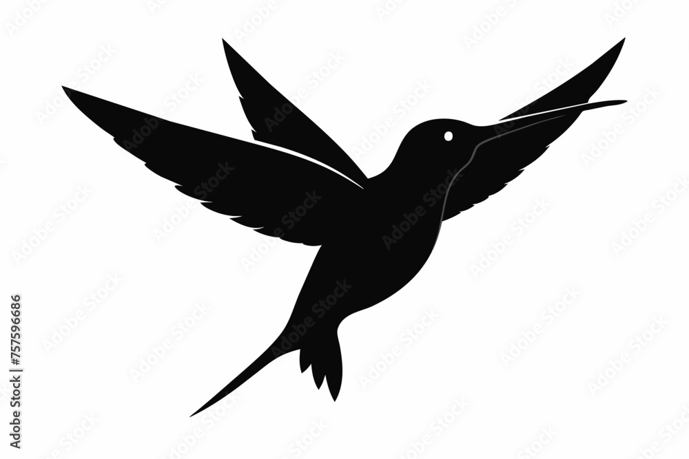 Fototapeta premium Hummingbird silhouette on white background