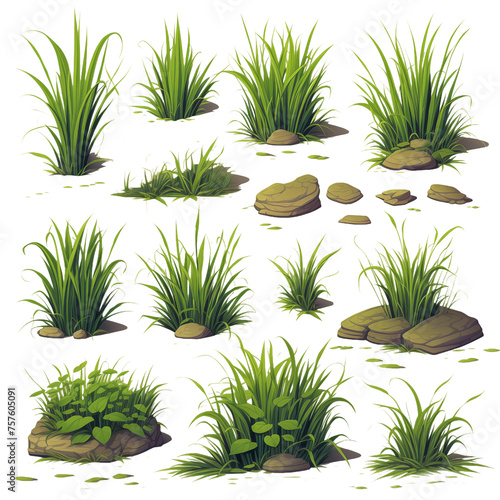 Illustrated Collection of Various Grass Clumps for Graphic Design
