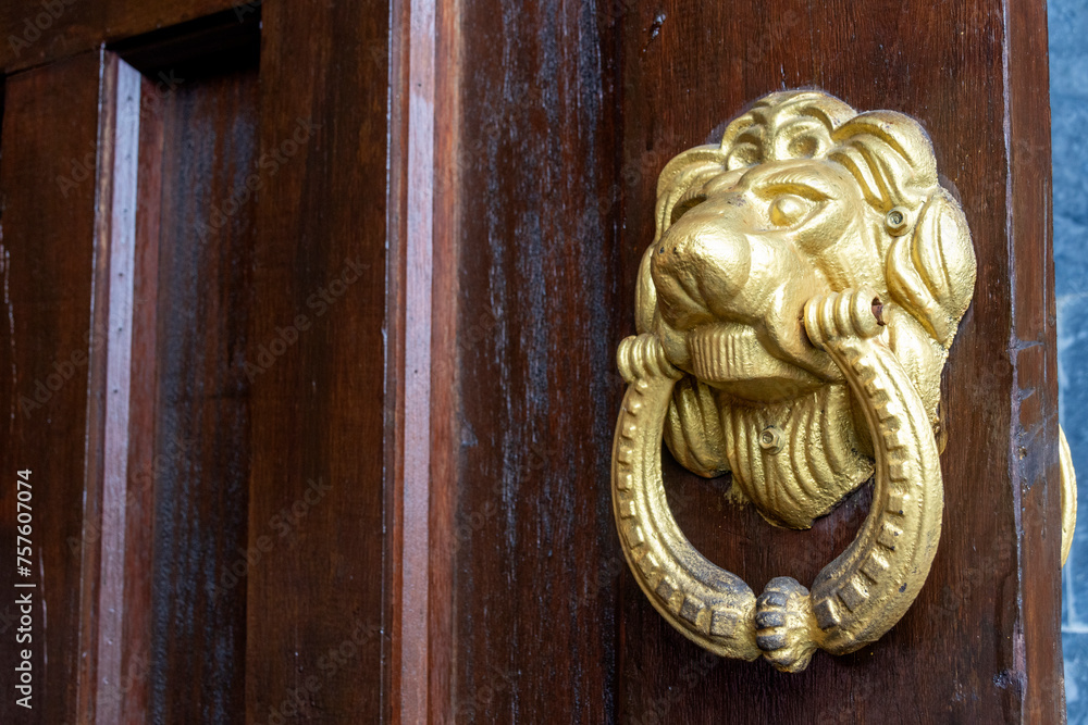 Golden door knob with lion head on wooden door Golden door knob with lion head on wooden door