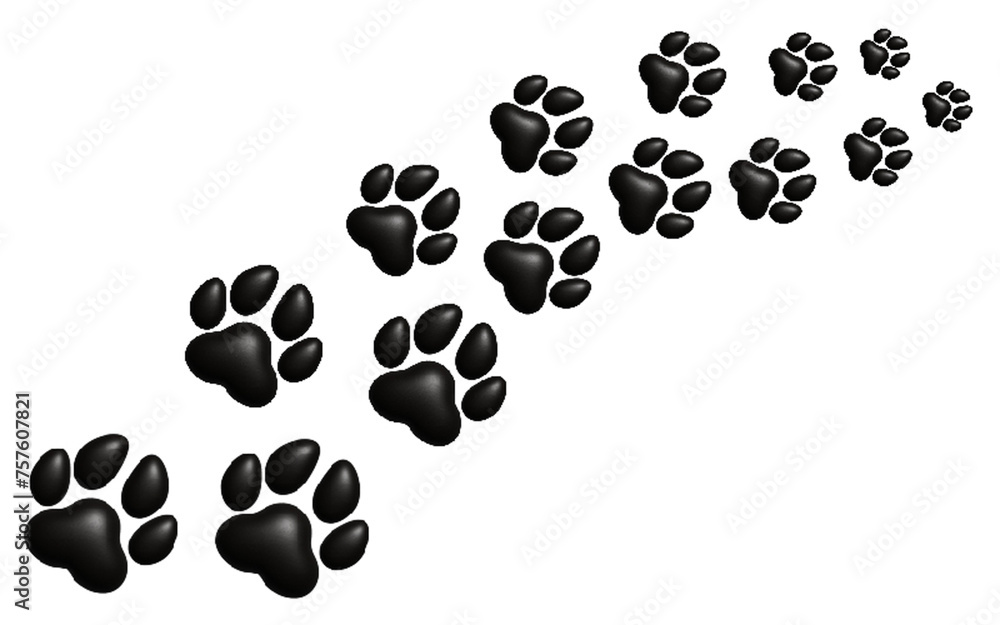 Fototapeta premium Black paw path on white background
