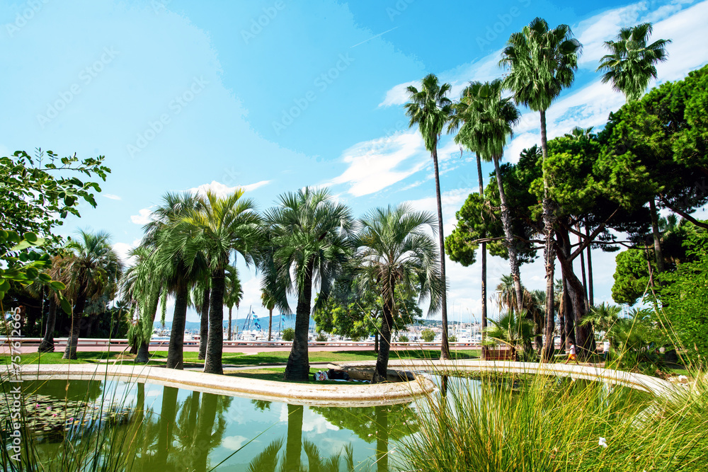 Awe Panorama of left part of Croisette (no people) luxury park with large fantastic palm trees, pond with pink water lilies
