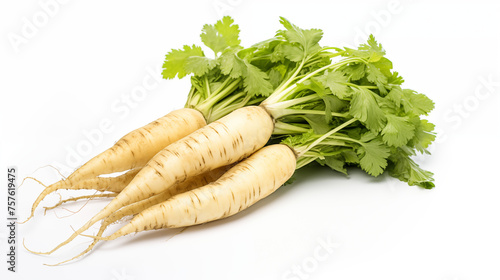 Fresh Parsnip - Vegetables Collection