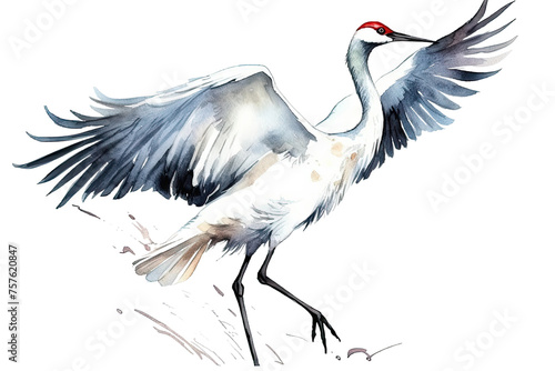 Obraz na płótnie crane White illustration white background isolated watercolor w salonie