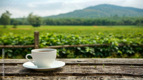 Aromatic coffee cup with green plantation mountain view and ample space for text placement