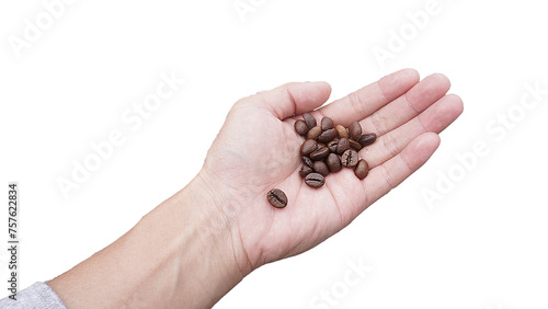 Hand Holding Coffee Bean Product Advertising Service 