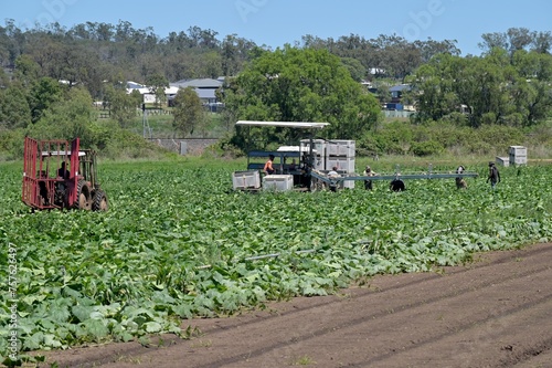 Australian farmers harvesting crops in agricultural field