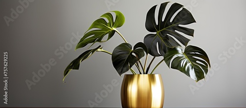 A houseplant in a gold vase decorates the table with its vibrant petals and green leaves, bringing a touch of nature indoors