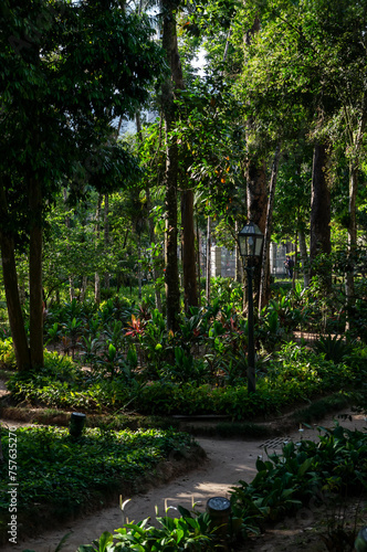 Dense green vegetation of the Petropolis Imperial Palace gardens at Rua da Imperatriz street in Centro district under summer afternoon sunny day in Petropolis, Rio de Janeiro - Brazil photo