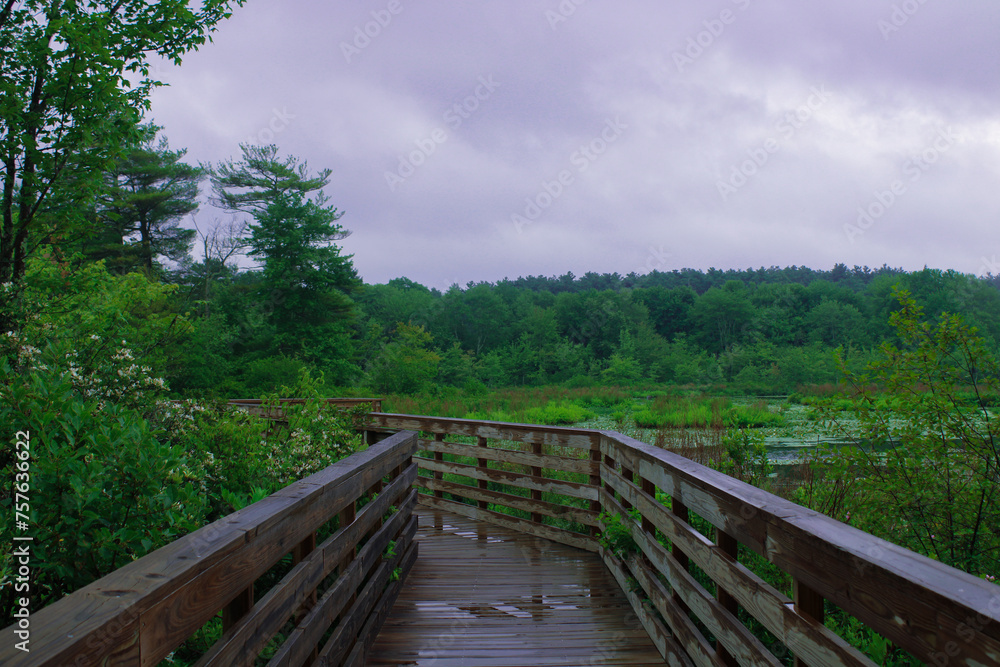 wooden bridge over the pond