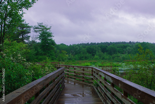 Fototapeta Naklejka Na Ścianę i Meble -  wooden bridge over the pond