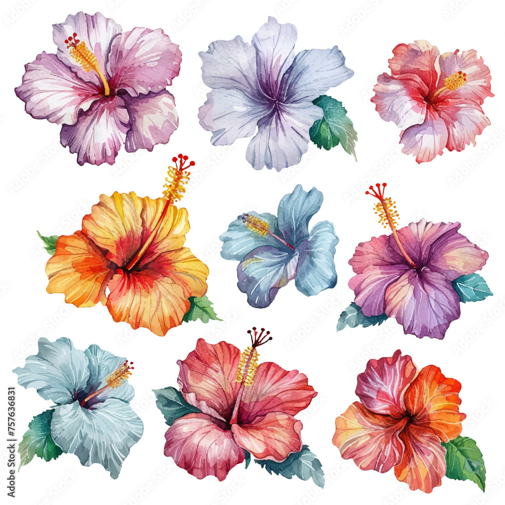 simple vector watercolour set of beautiful hibiscus flower