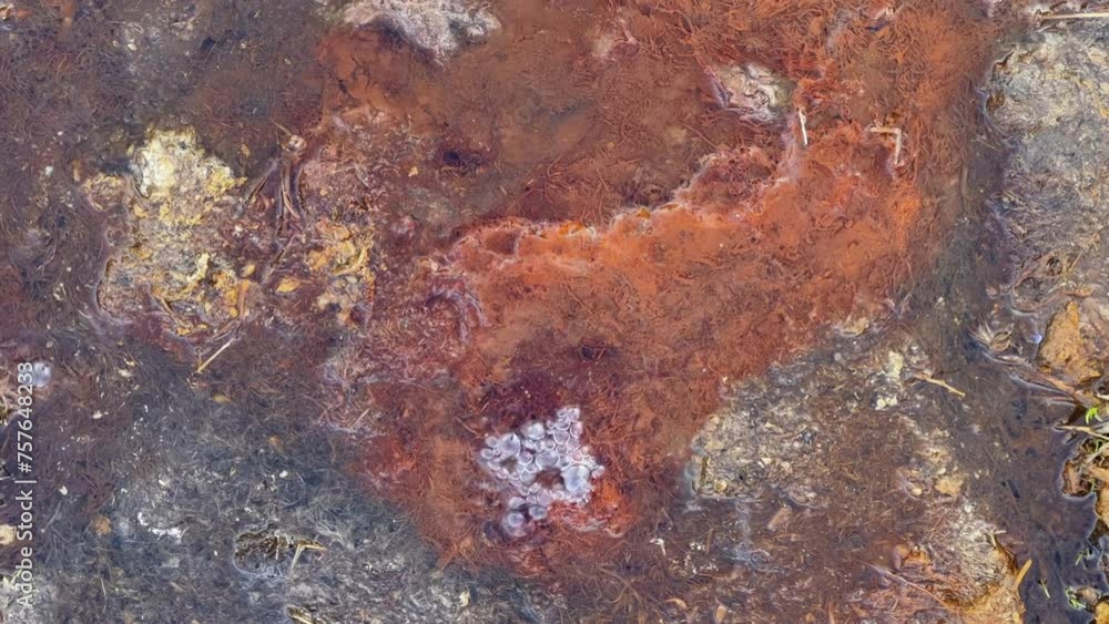Narzan drinking spring in Ossetia. The bubbling water of a natural mineral spring against the background of a red rocky bottom. The healing water of the Narzan Valley. North Caucasus, Russia. 4K Narzan drinking spring in Ossetia. The bubbling water of a natural mineral spring against the background of a red rocky bottom. The healing water of the Narzan Valley. North Caucasus, Russia. 4K