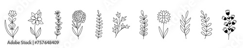 Fototapeta Naklejka Na Ścianę i Meble -  Hand drawn of vector vintage flowers elements isolated on white background