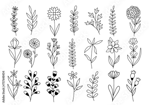 Plant illustration set, flowers and leaves clip art, hand drawn line art sketches, modern isolated doodle collection