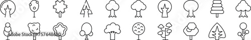 Set of thin line icons of various trees. Editable stroke. Simple linear illustration for web sites, newspapers, articles book