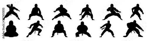 Fighter karate kung fu silhouette set vector design big pack of illustration and icon