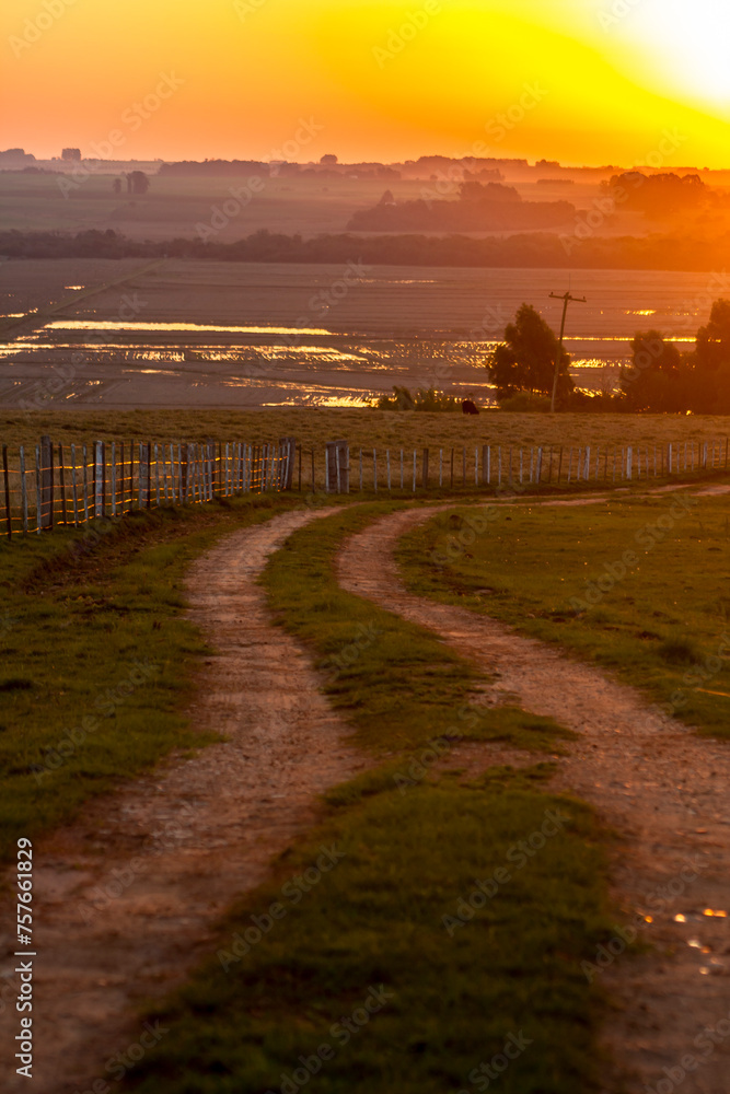 rural dirt road with irrigated rice fields in the background and a beautiful sunset in Brazil