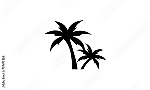 palm tree silhouette