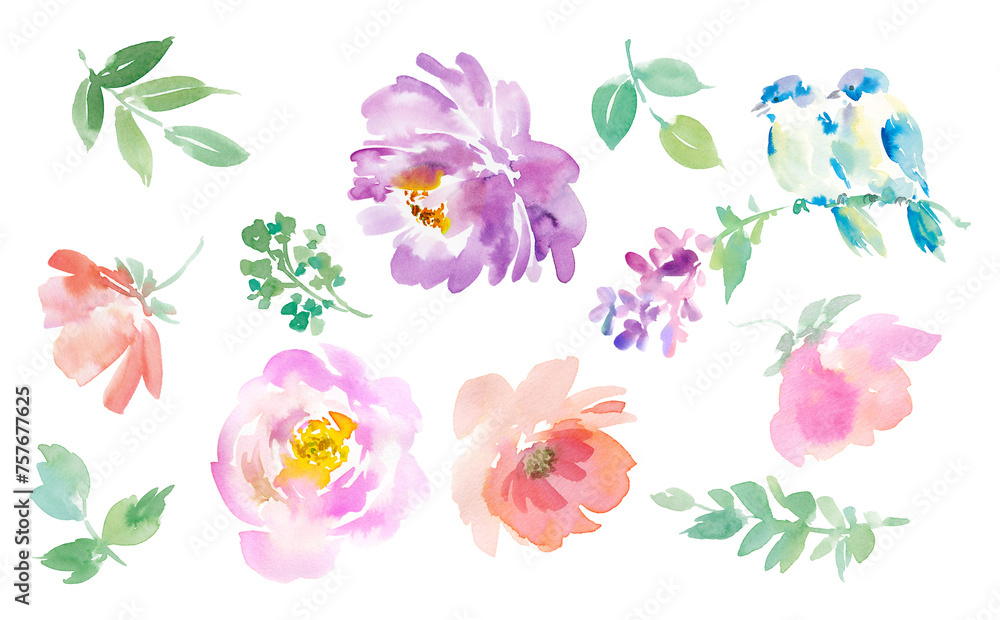  Set of Abstract peonies, Birds, and Floral Background Illustrations Painted in Watercolor