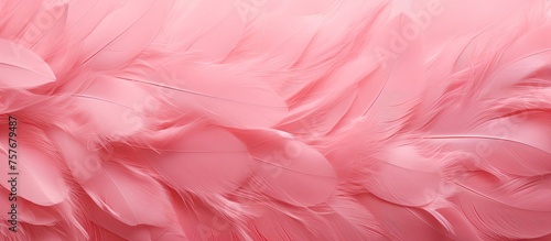 A closeup of a pink feather texture resembling the delicate petals of a flower. The vibrant magenta hues create a beautiful pattern, reminiscent of a flowering plant in shades of peach