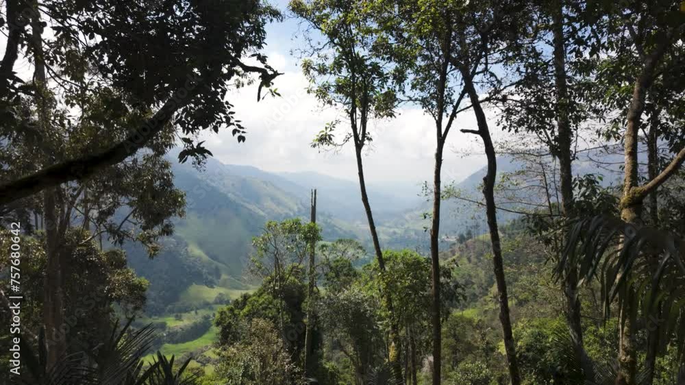 Establishing Cocora valley in Colombia, countryside with green landscape Establishing Cocora valley in Colombia, countryside with green landscape