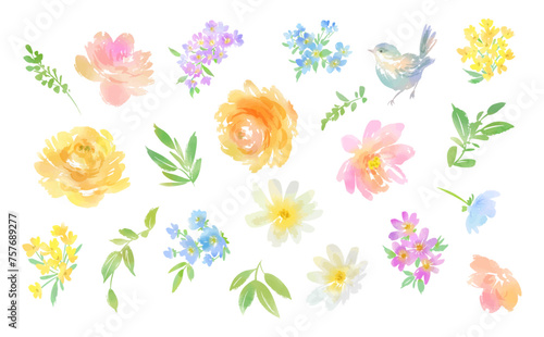 Watercolor-style Rose, Plant, and Bird Vector Illustration Set